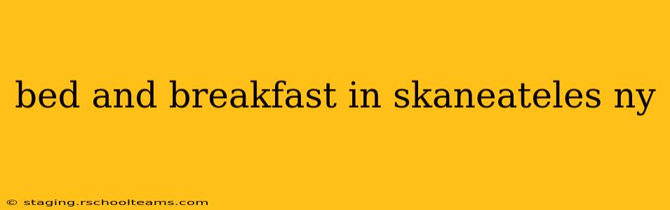 bed and breakfast in skaneateles ny