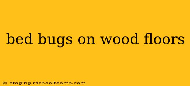 bed bugs on wood floors