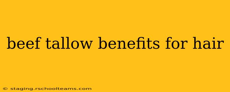 beef tallow benefits for hair