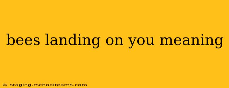 bees landing on you meaning