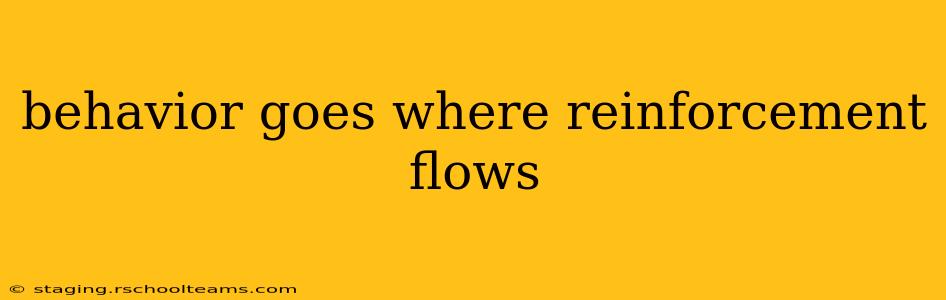 behavior goes where reinforcement flows