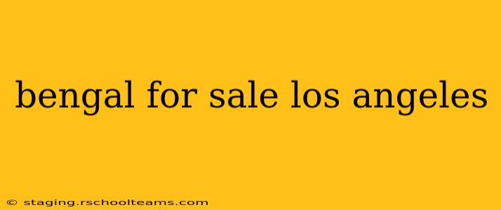 bengal for sale los angeles