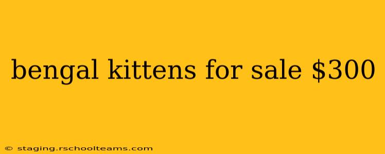 bengal kittens for sale $300