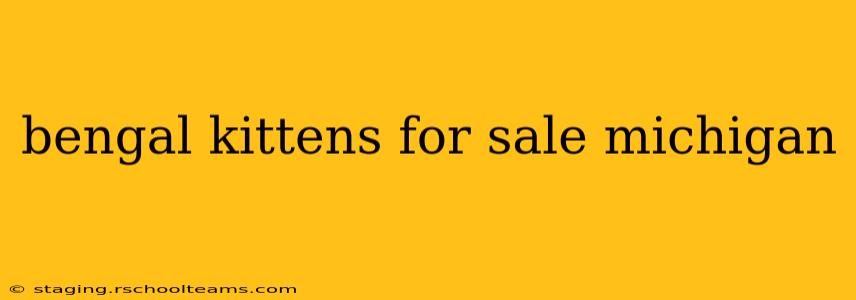bengal kittens for sale michigan