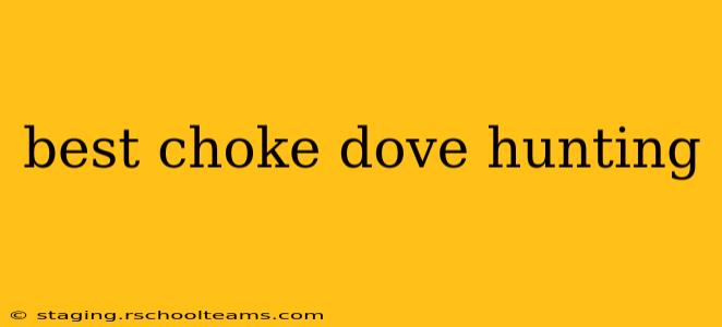 best choke dove hunting