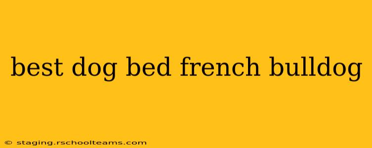 best dog bed french bulldog