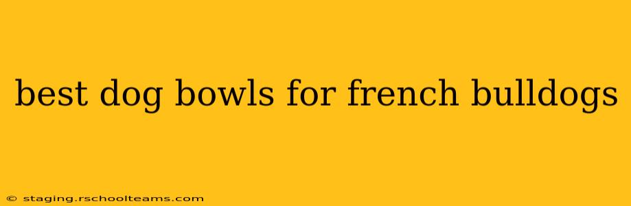 best dog bowls for french bulldogs