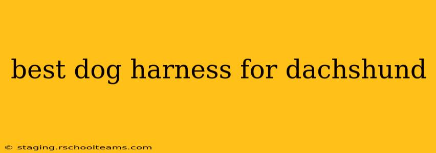 best dog harness for dachshund