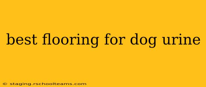 best flooring for dog urine