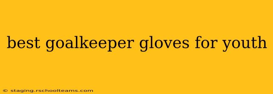 best goalkeeper gloves for youth