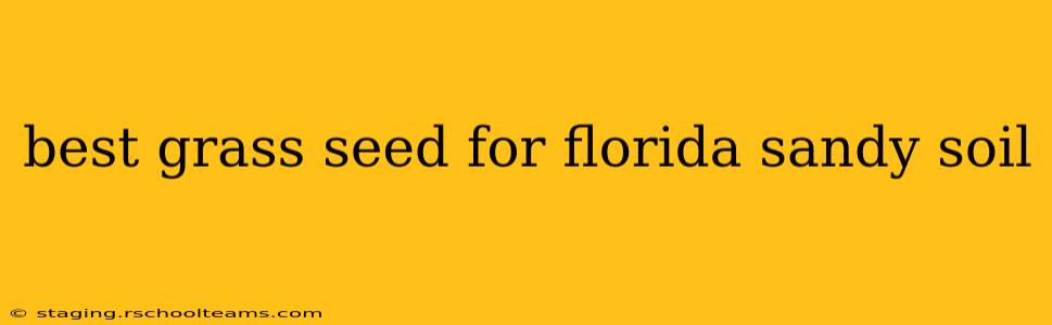 best grass seed for florida sandy soil