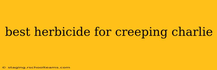 best herbicide for creeping charlie
