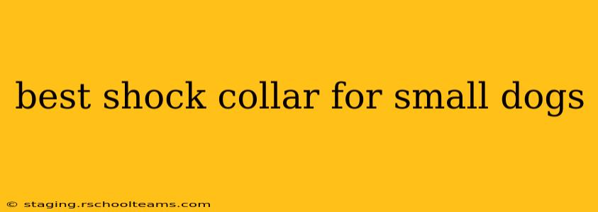 best shock collar for small dogs