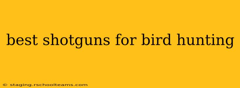 best shotguns for bird hunting