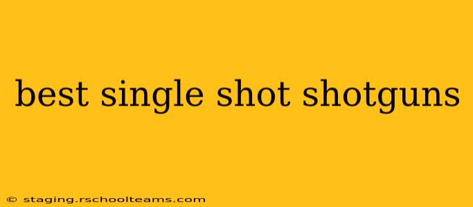 best single shot shotguns