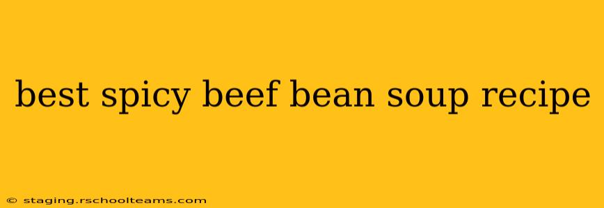 best spicy beef bean soup recipe