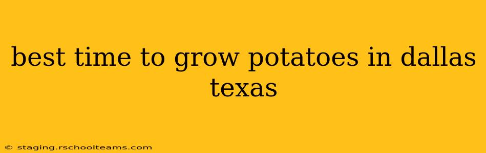 best time to grow potatoes in dallas texas