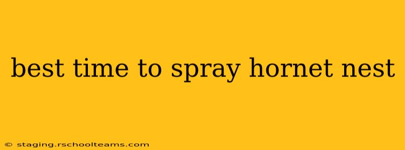 best time to spray hornet nest