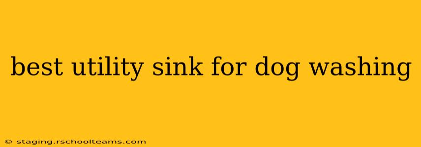 best utility sink for dog washing