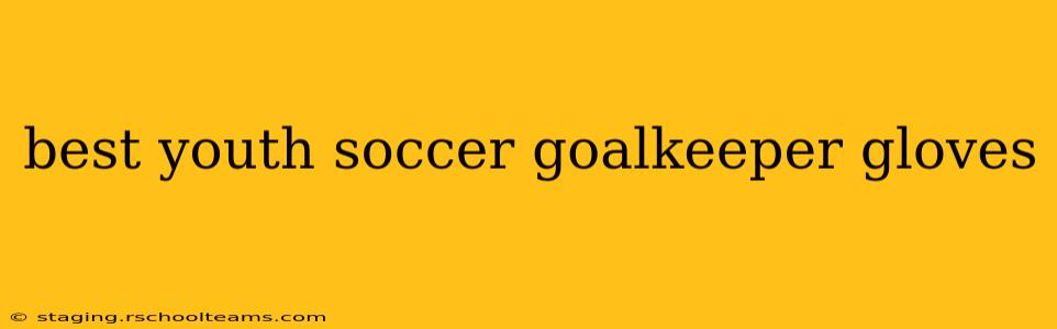 best youth soccer goalkeeper gloves