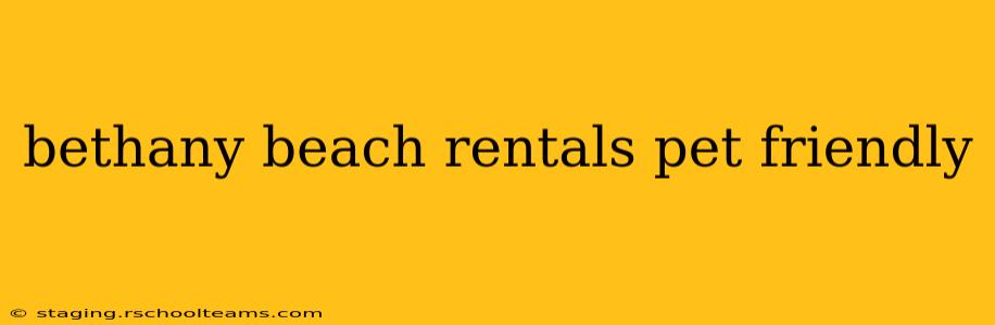 bethany beach rentals pet friendly