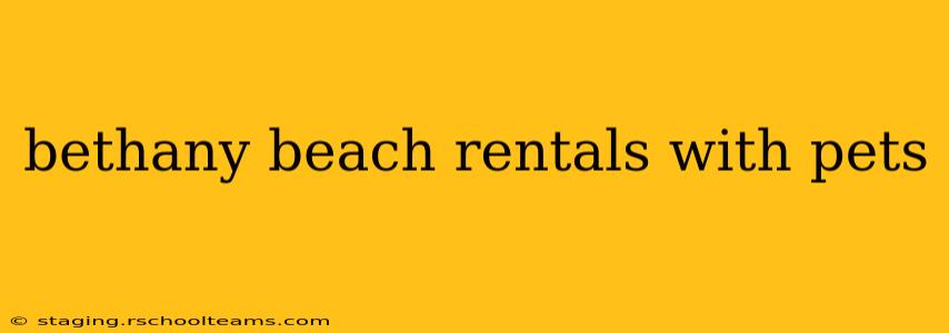 bethany beach rentals with pets