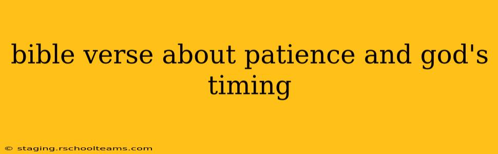 bible verse about patience and god's timing