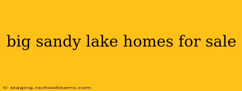 big sandy lake homes for sale