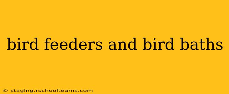 bird feeders and bird baths
