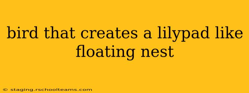 bird that creates a lilypad like floating nest