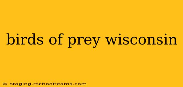 birds of prey wisconsin