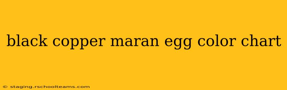 black copper maran egg color chart
