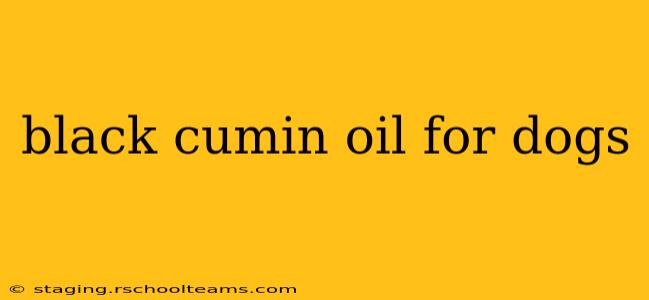 black cumin oil for dogs