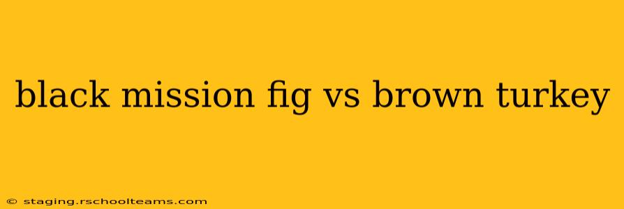 black mission fig vs brown turkey