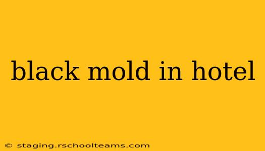 black mold in hotel