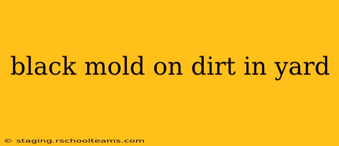 black mold on dirt in yard