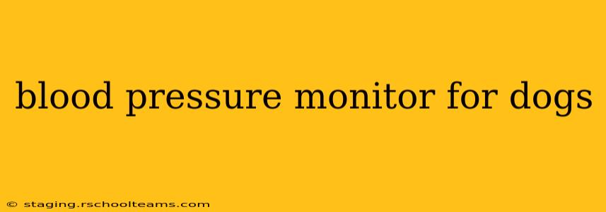 blood pressure monitor for dogs