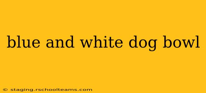 blue and white dog bowl