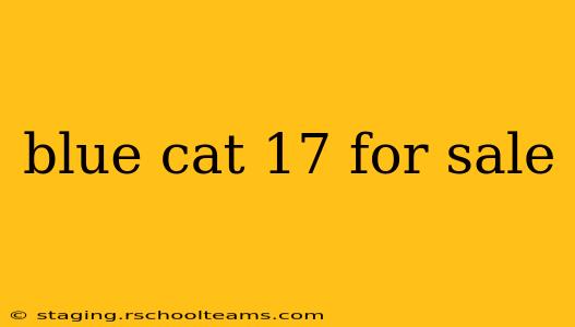 blue cat 17 for sale