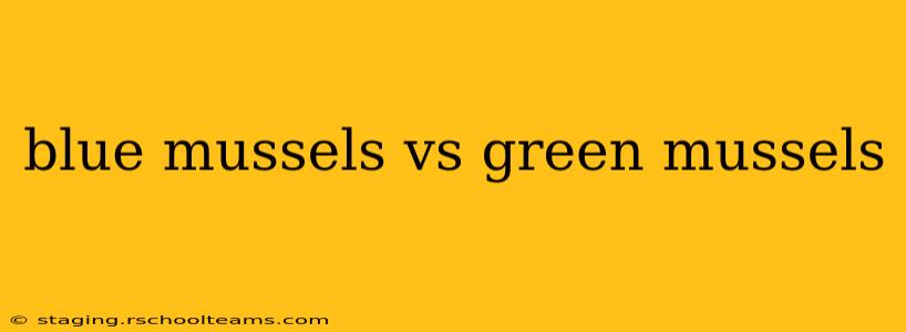 blue mussels vs green mussels