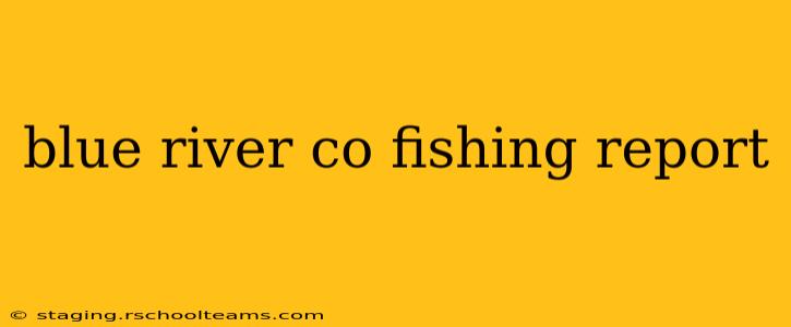 blue river co fishing report