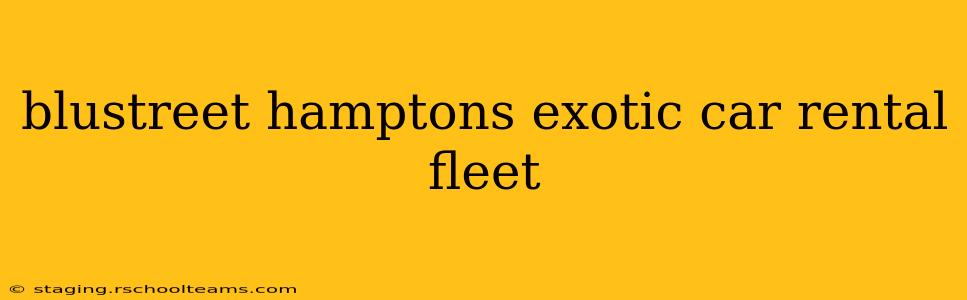 blustreet hamptons exotic car rental fleet