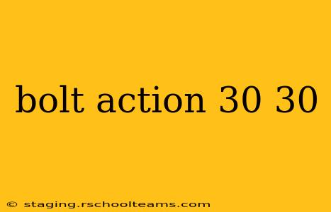 bolt action 30 30