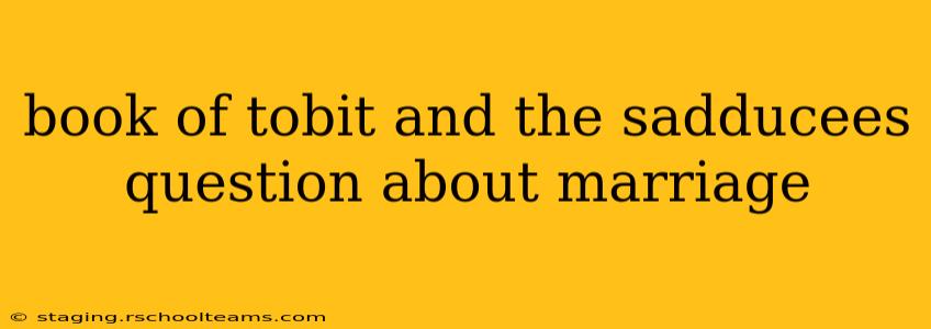 book of tobit and the sadducees question about marriage