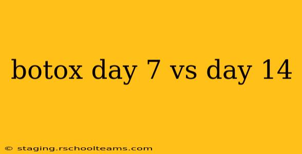 botox day 7 vs day 14