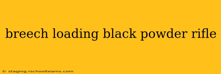 breech loading black powder rifle