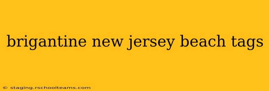 brigantine new jersey beach tags