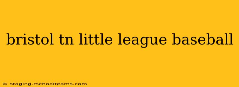 bristol tn little league baseball