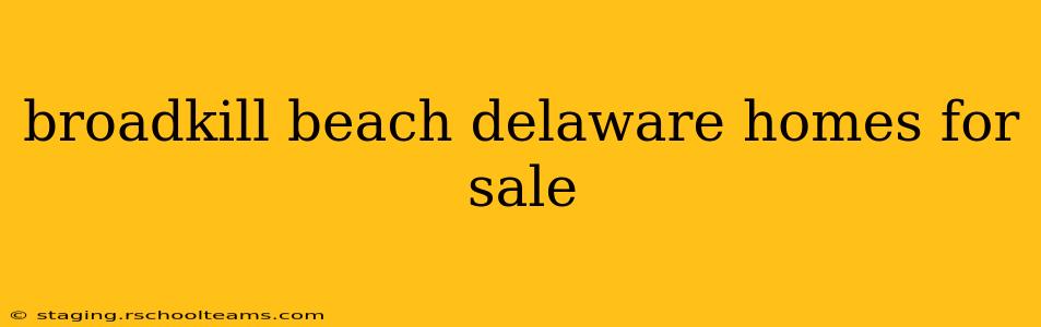 broadkill beach delaware homes for sale