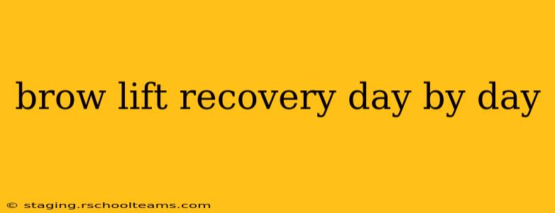 brow lift recovery day by day